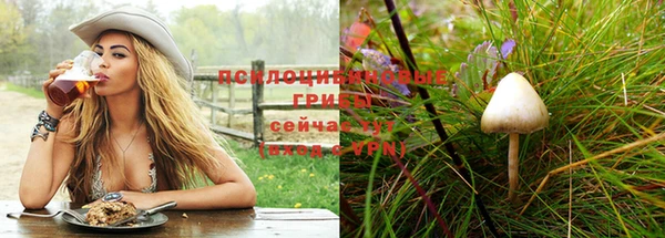 метадон Алексеевка
