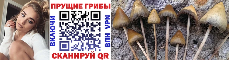 Псилоцибиновые грибы мухоморы  Шуя 