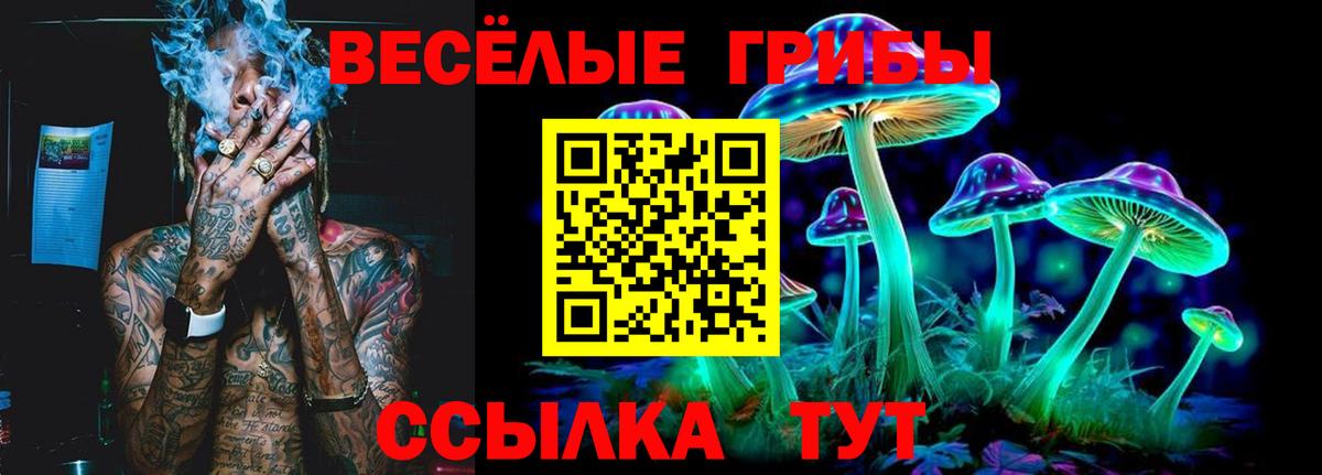 Галлюциногенные грибы Magic Shrooms  Вход с VPN  Шуя 